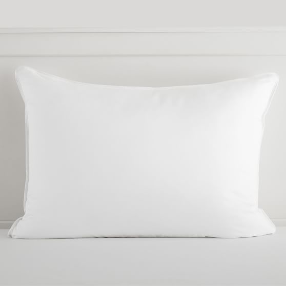 https://assets.ptimgs.com/ptimgs/rk/images/dp/wcm/202340/0007/allermax-aafa-certified-pillow-insert-1-c.jpg