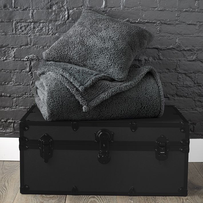 Cozy Sherpa Bed Blanket & Pillow Gift Set Pottery Barn Teen