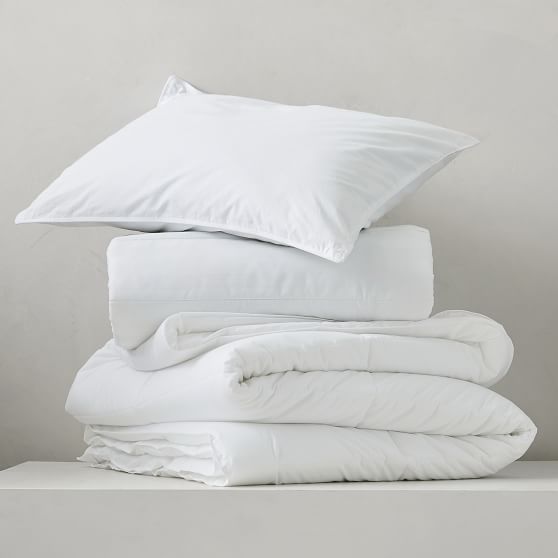 PBteen Essential Pillow Insert | Pottery Barn Teen