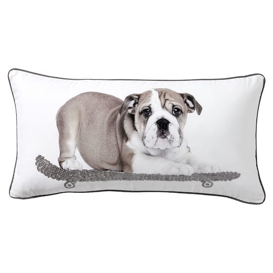Party Dogs Pilow Cover, English Bulldog Pottery Barn Teen