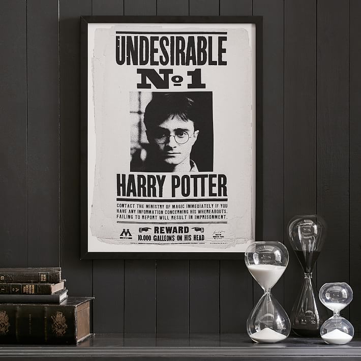 Harry Potter&#8482; Framed Undesirable Art, 18&quot;x24&quot;