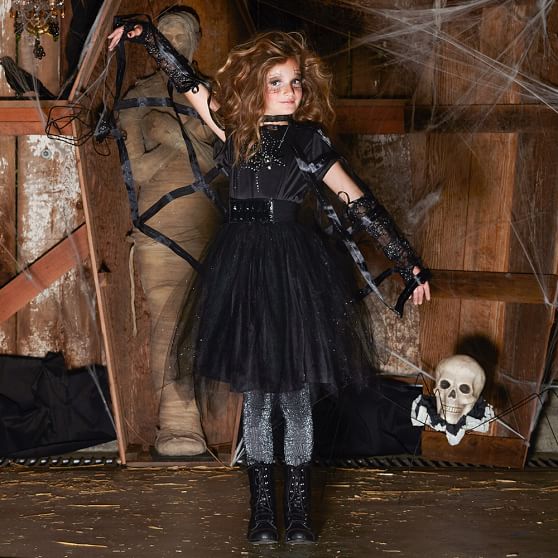 Spider Fairy Teen Halloween Costume | Pottery Barn Teen