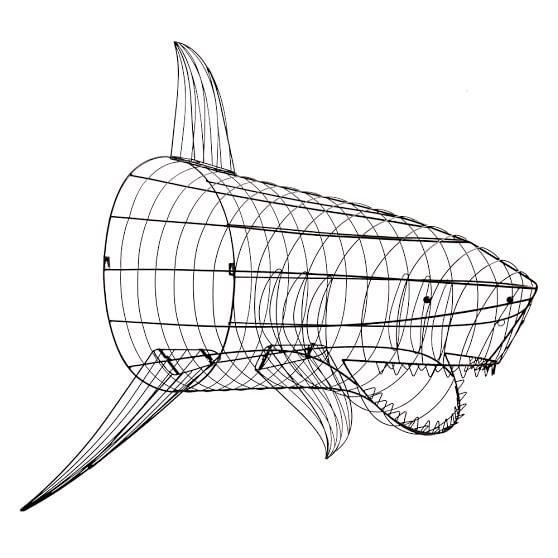 Shark Wall Decor Teen Decor Sale Pottery Barn Teen
