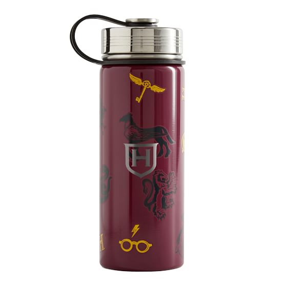 HARRY POTTER X SHEIN Collaborative Design Tritan Water Bottle, 500ml/18oz  (bpa-free)