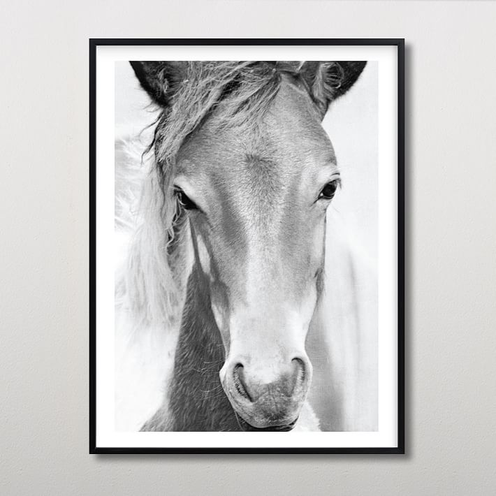 Minted&#174; Wild and Free Framed Art