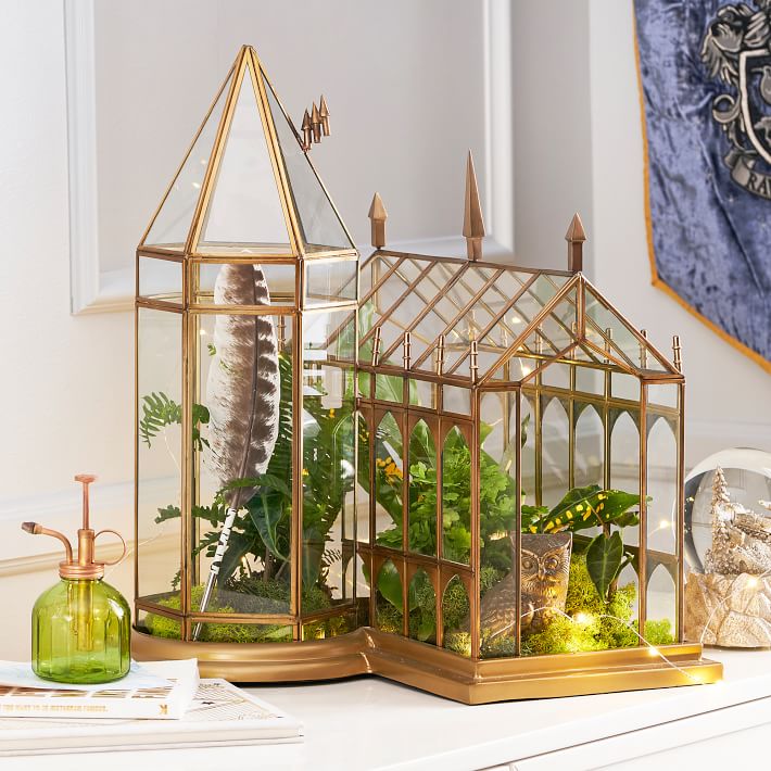 Harry Potter Terrarium With Figurines Cactus/succulents/vase