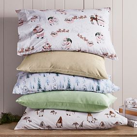 Winter Wonderland Organic Flannel Sheet Set