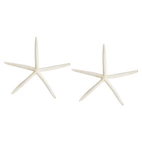 Resin Starfish Decor, Set Of 2