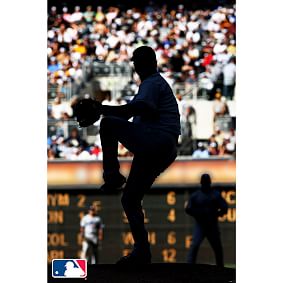 MLB&#8482; Strike Out Wall Mural