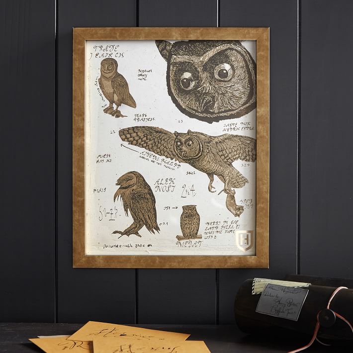 Harry Potter&#8482; Framed Owl Art, 13&quot;x16&quot;
