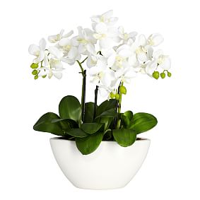 Faux Potted Orchid Arrangement