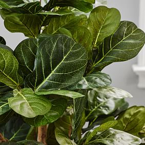 Faux Potted Fiddle Leaf Fig Tree