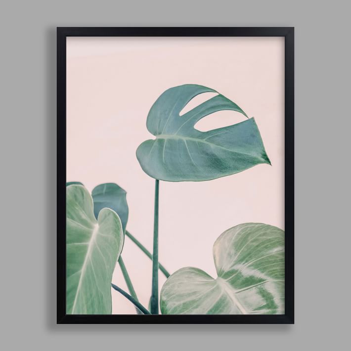 Minted® Botanical No. 38 Framed Art by Jennifer Rigsby | Pottery Barn Teen