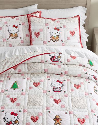 Pottery Barn Teen PBTeen Organic Merry Moose Flannel Sheet shops Set Queen Christmas