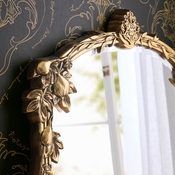 Harry Potter™ Herbology Full-Length Mirror 24"x57"