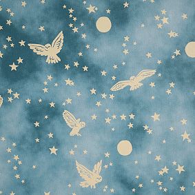 Harry Potter&#8482; Enchanted Night Sky Wallpaper