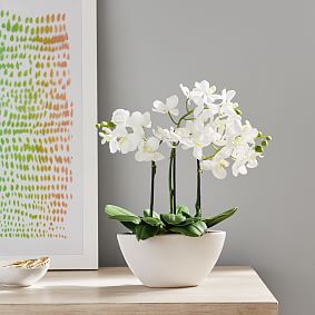 Faux Potted Orchid Arrangement