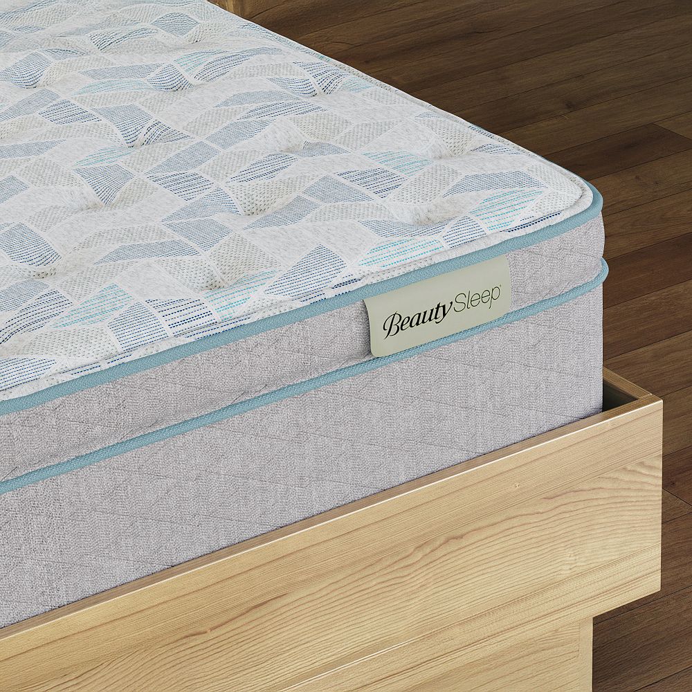 BeautySleep&#174;&#160;Slumber Escape Ultra Plush Pillow Top Mattress (14.25&quot;h)