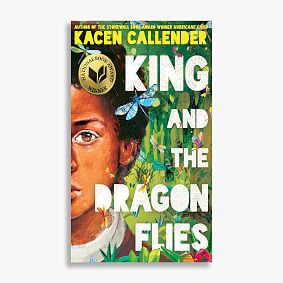 King and the Dragonflies Book