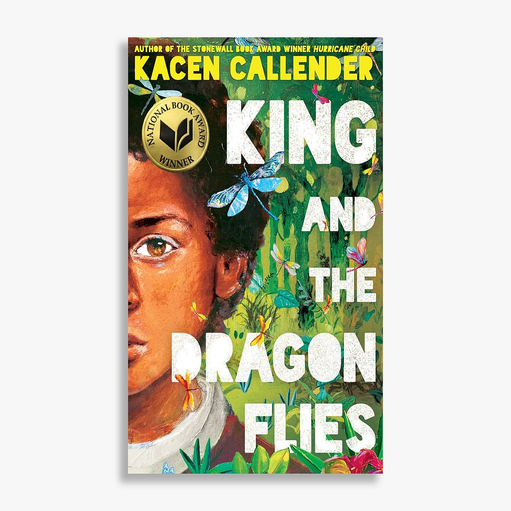 King and the Dragonflies Book