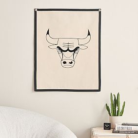NBA Canvas Flag
