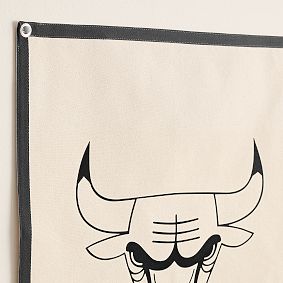NBA Canvas Flag