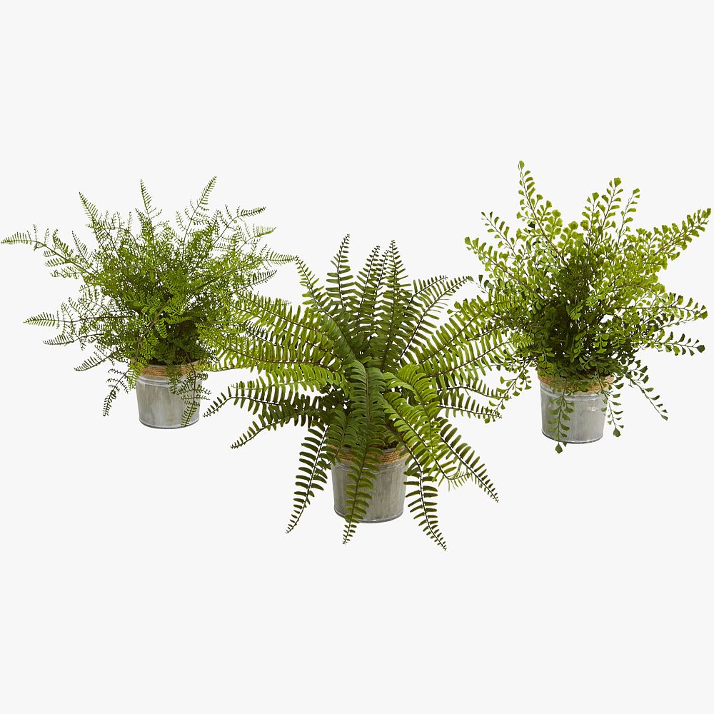 Assorted Ferns with Planter Artificial Plant S/3