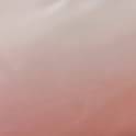 Ombre Blush