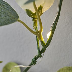 Vine Garland with Fairy Lights &amp; Photo Clips