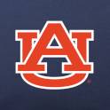 College Sweatshirt Oversized Throw