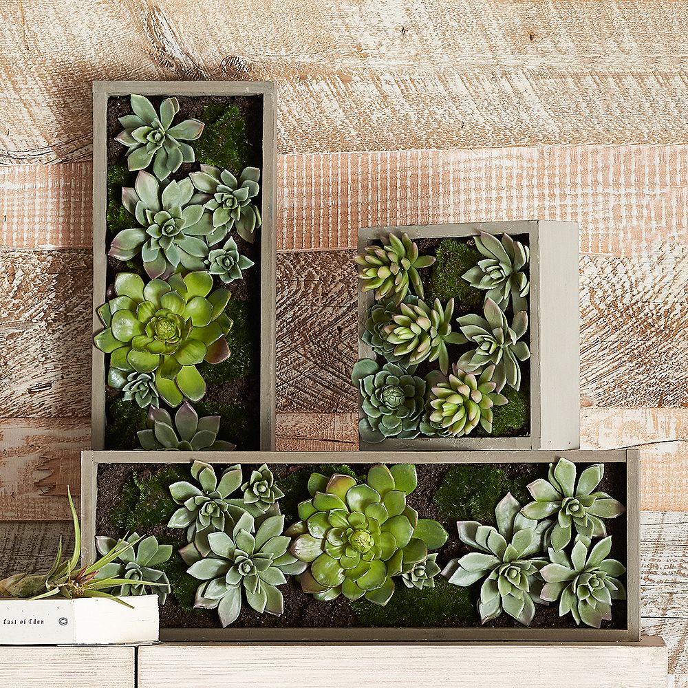 Faux Succulents