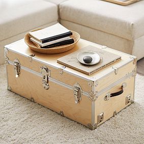 Natural Birch Trunk with Silver Trim
