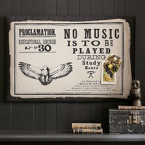 Harry Potter&#8482; Proclamation Pinboard