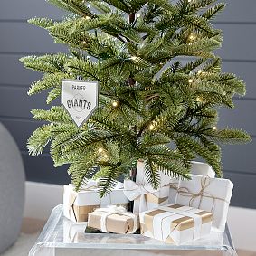<i>MLB&#8482;</i> Ornament