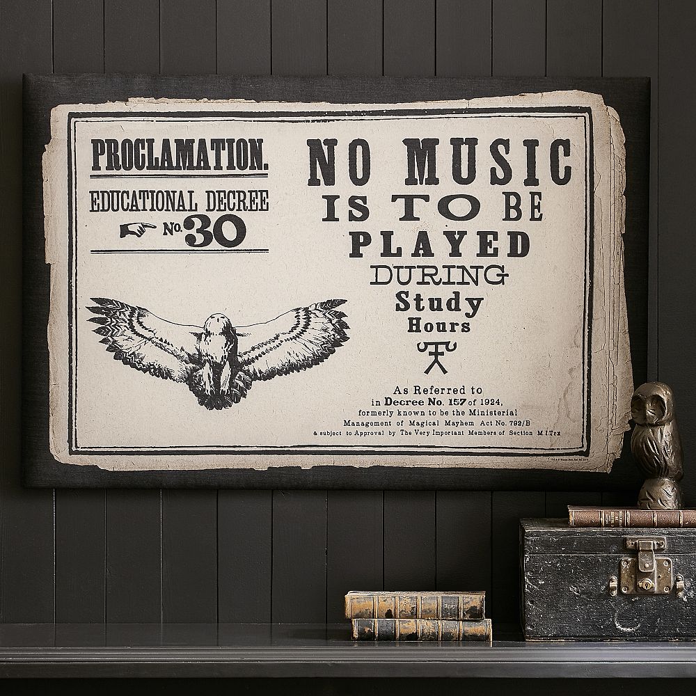 Harry Potter&#8482; Proclamation Pinboard