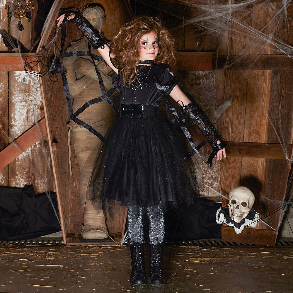 Spider Fairy Costume