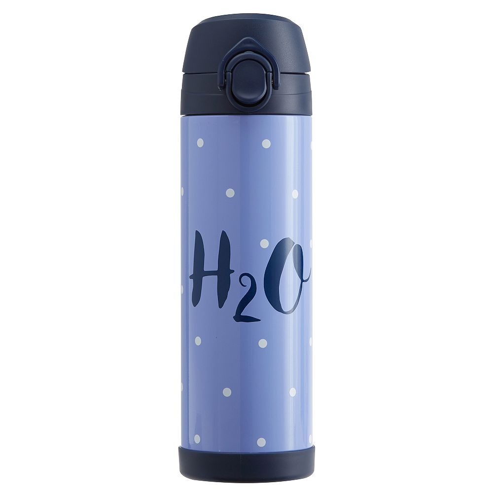 Periwinkle Pin Dot 17 oz Water Bottle