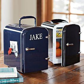 Mini Cooler