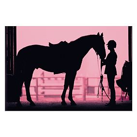 Equestrian Wall Mural