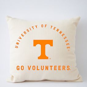College Filled Pillow