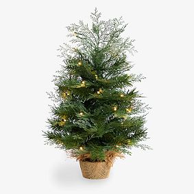 Christmas Tree with Burlap Base (2 Ft.)