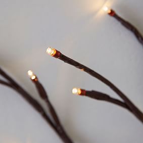 Fairy Light Branches