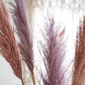 Tall Dried Pampas Bundle- Set of 3- Blush