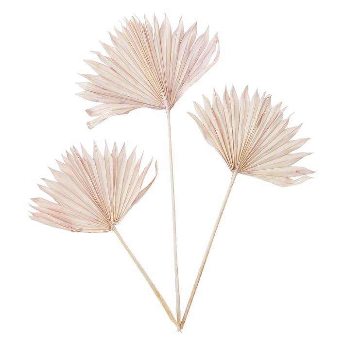 Dried Palm Leaf Bundle- Set of 3- Lavender