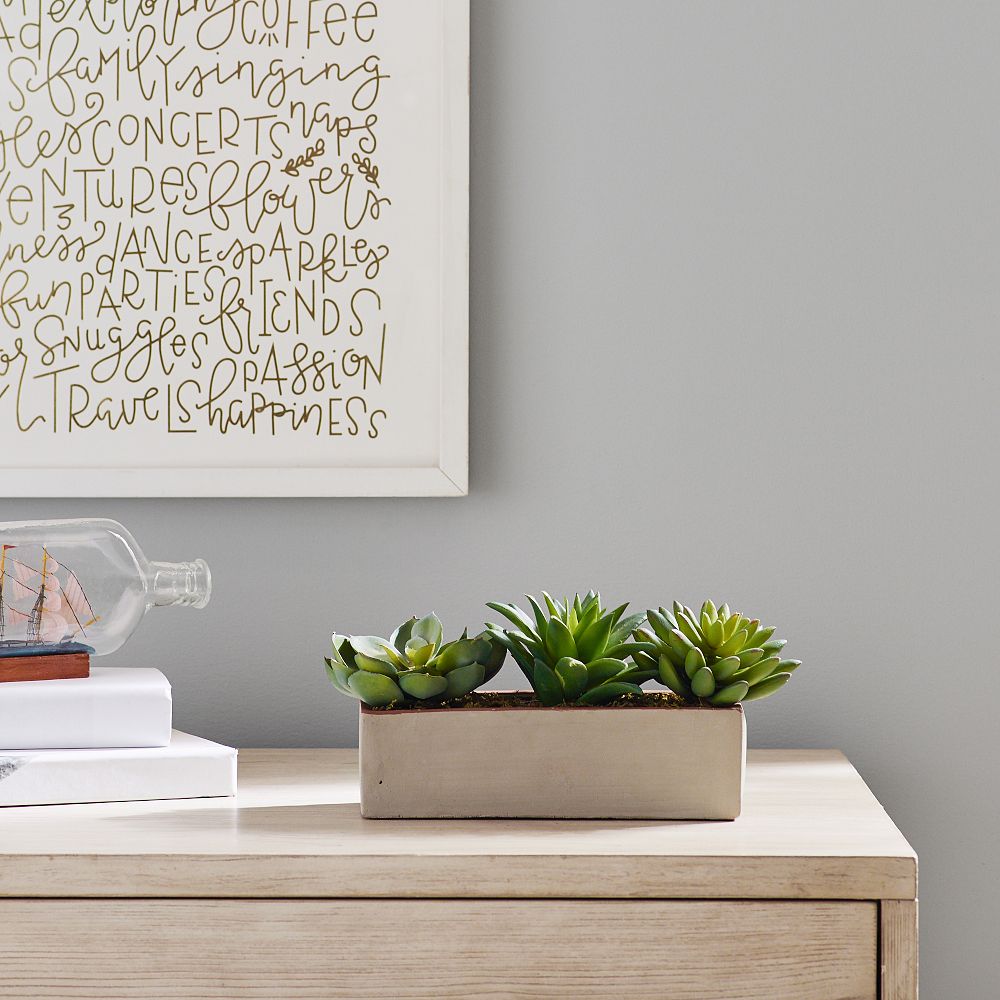 Faux Potted Succulent Arrangement