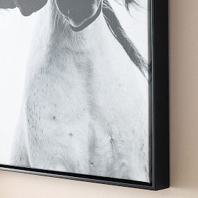 Horses Framed Wall Art