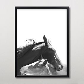 Minted&#174; Foal Framed Art by Anne Ciotola