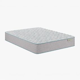 BeautySleep&#174;&#160;Slumber Escape Firm Mattress (12&quot;h)