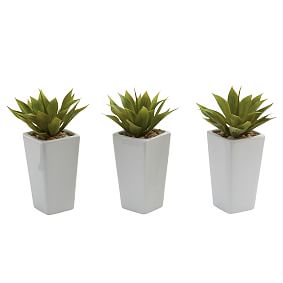 Mini Agave Faux Plants in Planter, Set of 3