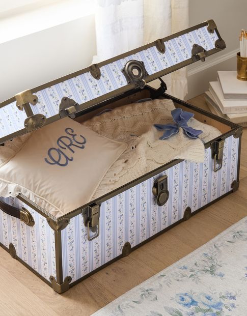 Storage Carts &amp; Trunks